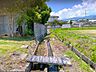 その他：2026年6月撮影