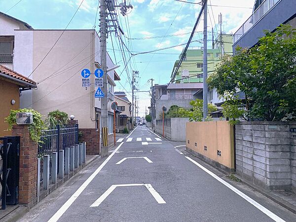 2026年6月撮影