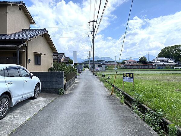 2026年6月撮影