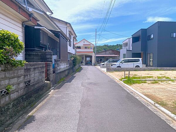 2026年7月撮影