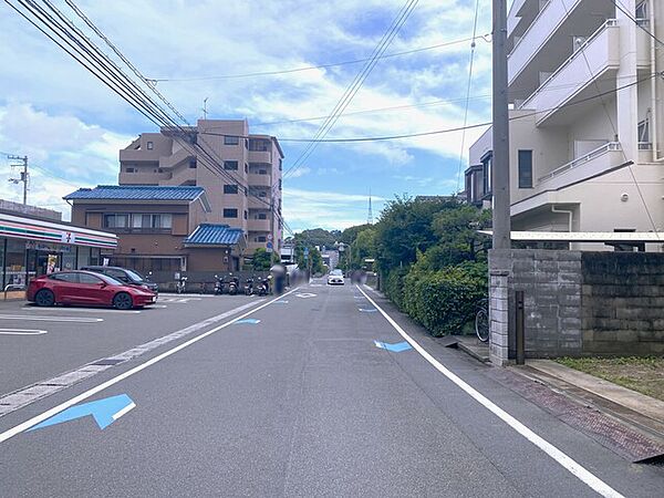 2026年7月撮影