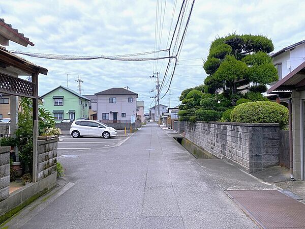 2026年7月撮影