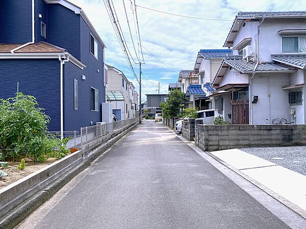 2026年7月撮影