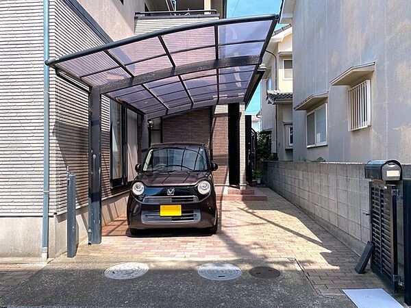 2026年7月撮影