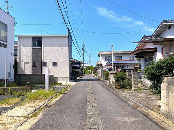 2026年7月撮影