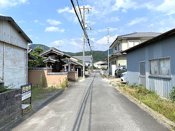 2026年7月撮影