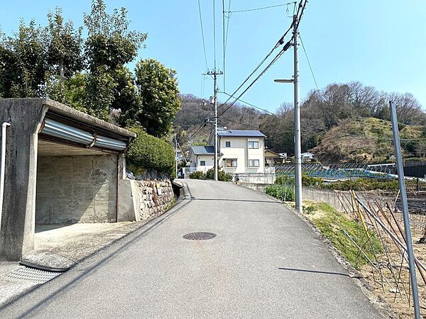 2025年3月撮影