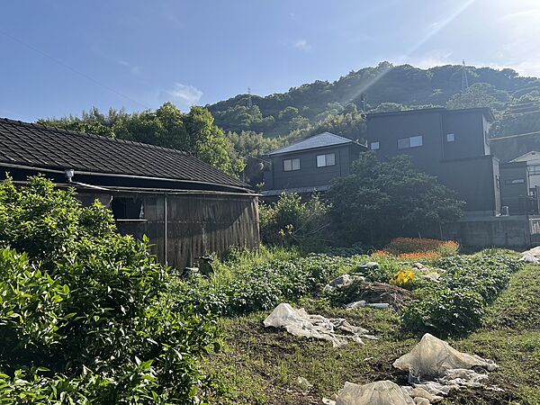 外観：338000027924