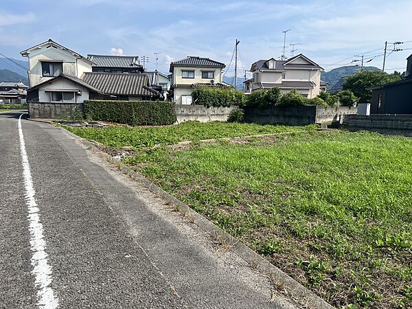 外観：338000044866