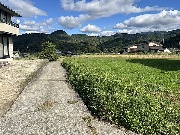 その他画像
