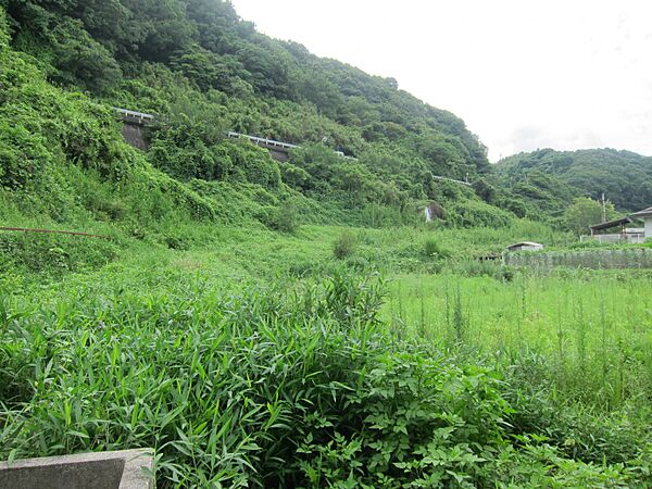 外観：338000012771