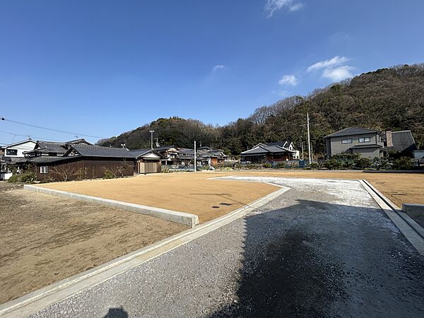 2026/1/19 撮影