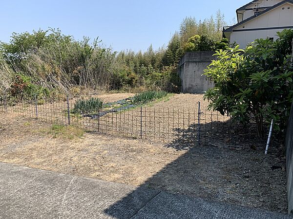 外観：338000013319