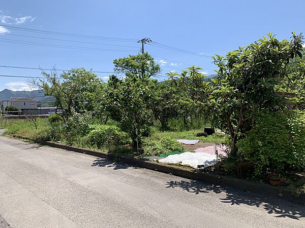 外観：338000028004