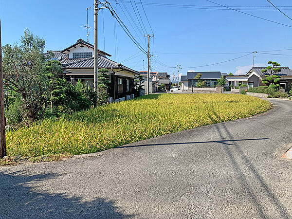 外観：338000032563
