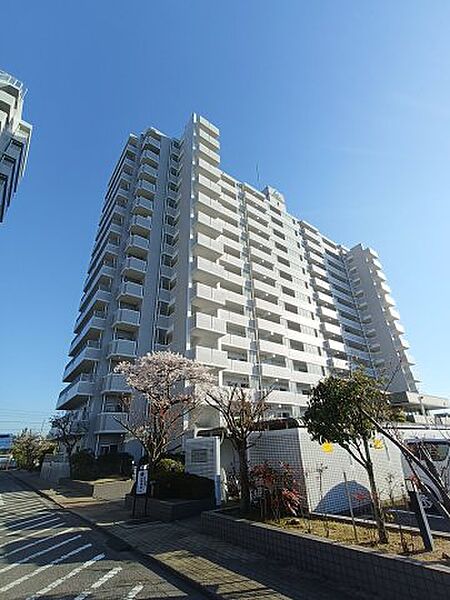 外観：338000053299