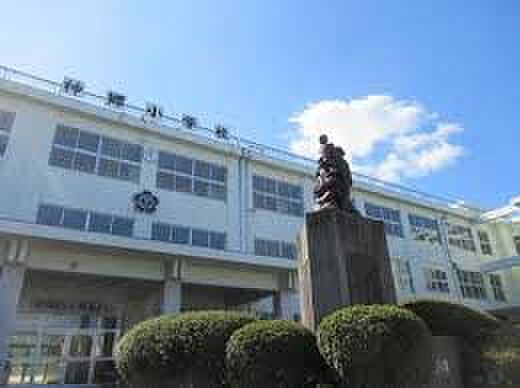 【小学校】神郷小学校まで352ｍ