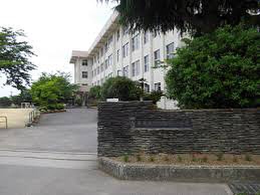 【小学校】大生院小学校まで483ｍ