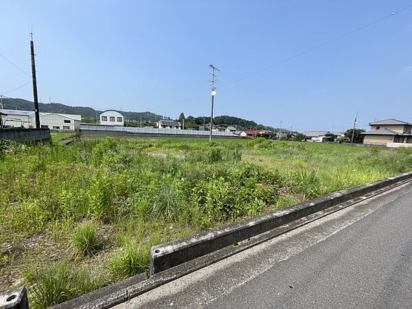 外観：338000055621