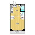 マルイブーゲンビリア1階5.3万円