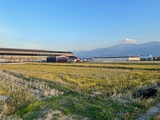 外観：338000043851