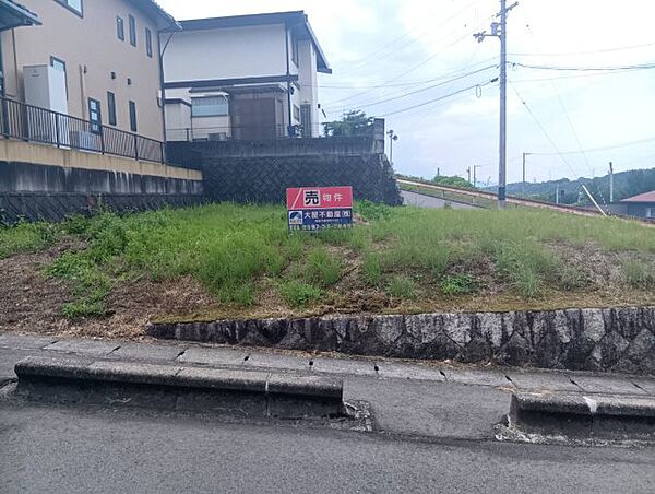 外観：338000045076