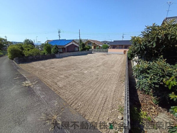 現地写真（南側から撮影）