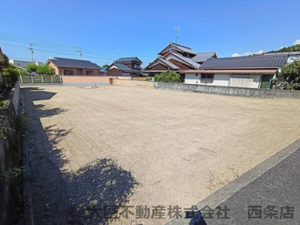 現地写真（南側から撮影）