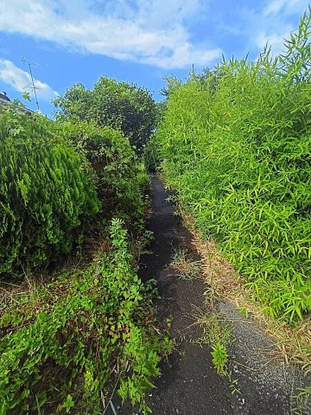 東側道路（建築基準法外道路）