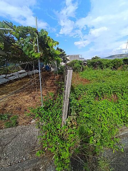 現地写真　境界（東側）