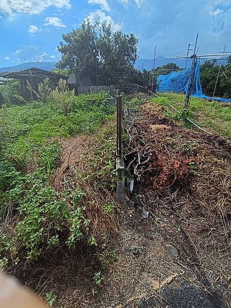 現地写真　境界（北側）