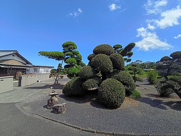 庭