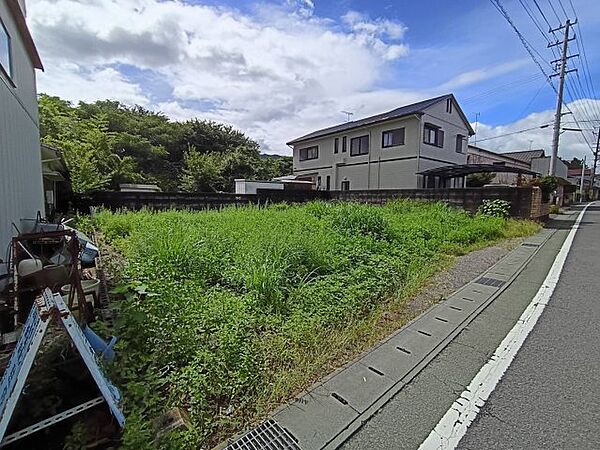 外観：338000046895