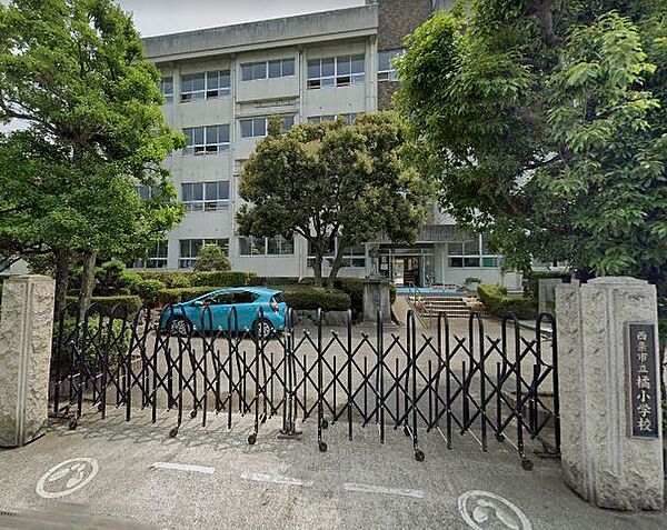 【小学校】橘小学校まで276ｍ