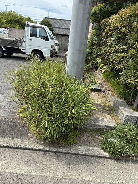 その他画像
