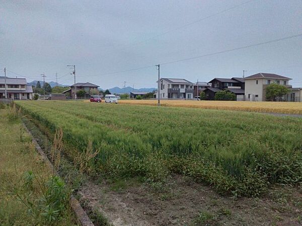 その他画像