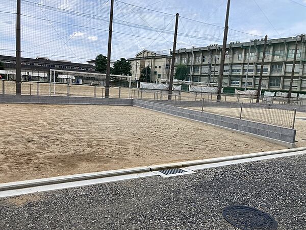 外観：338000050118