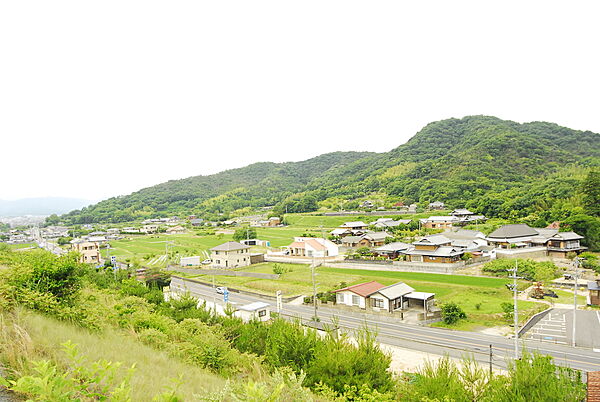 外観：337000006116