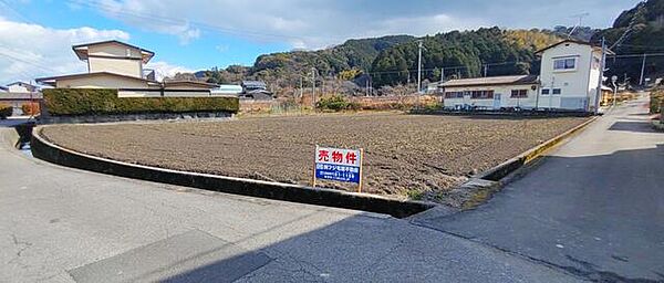 外観：338000036170