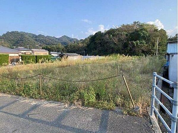 外観：338000052999