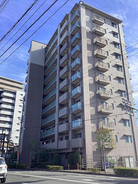 外観：339000050617