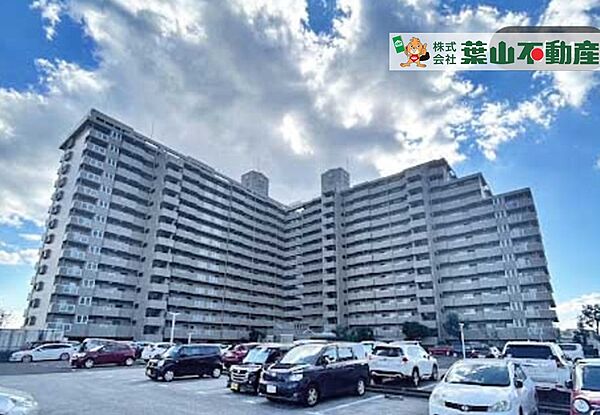 外観：339000050786