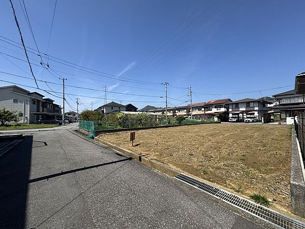 外観：339000052746