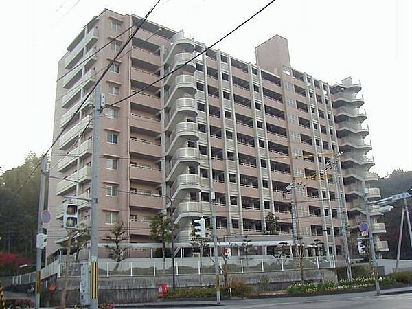 外観：339000053661