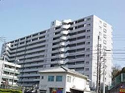 アーネスト能茶山