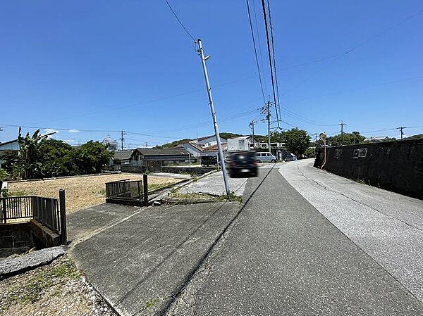 西側から見た南側道路。