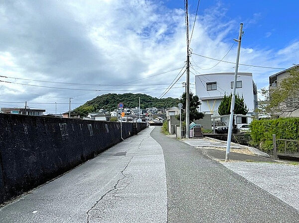 東側から見た南側道路。