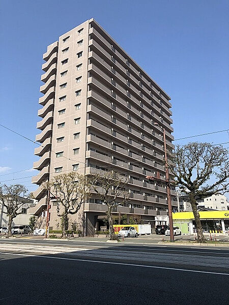 外観：339000049992