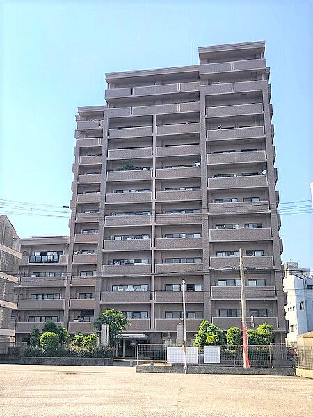 外観：339000050823