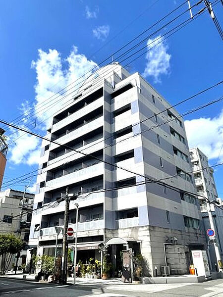 外観：339000052653